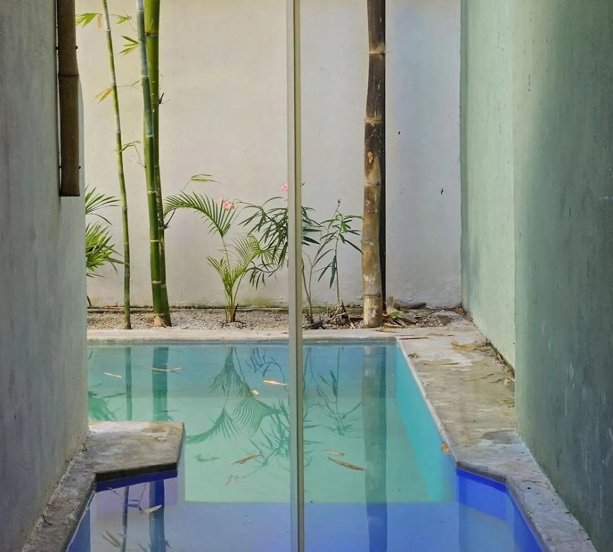 New Bamboo Casa Azul Pool Paddle Tennis And Soccer Mérida 0*,