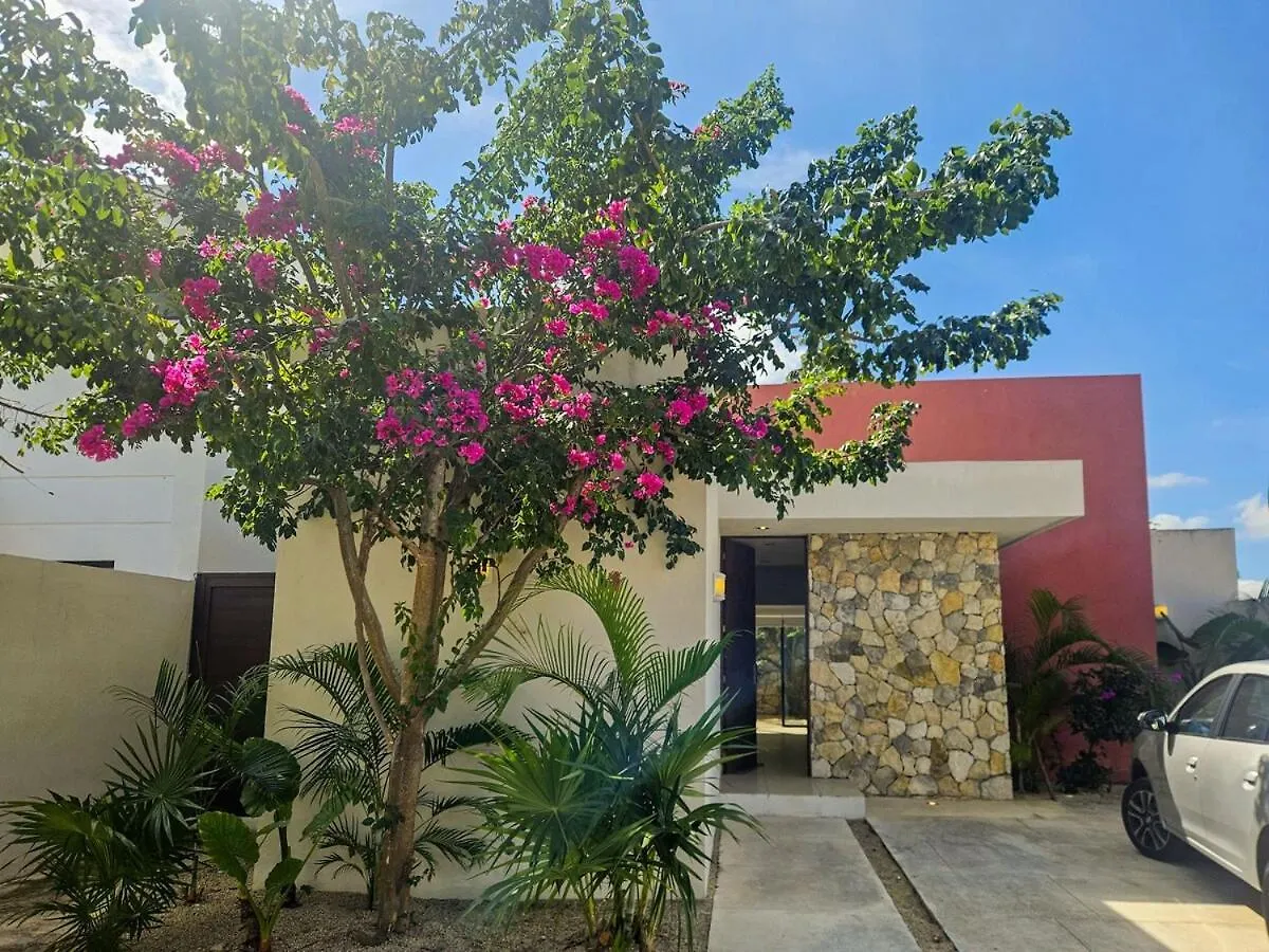 New Bamboo Casa Azul Pool Paddle Tennis And Soccer Mérida Lejlighed
