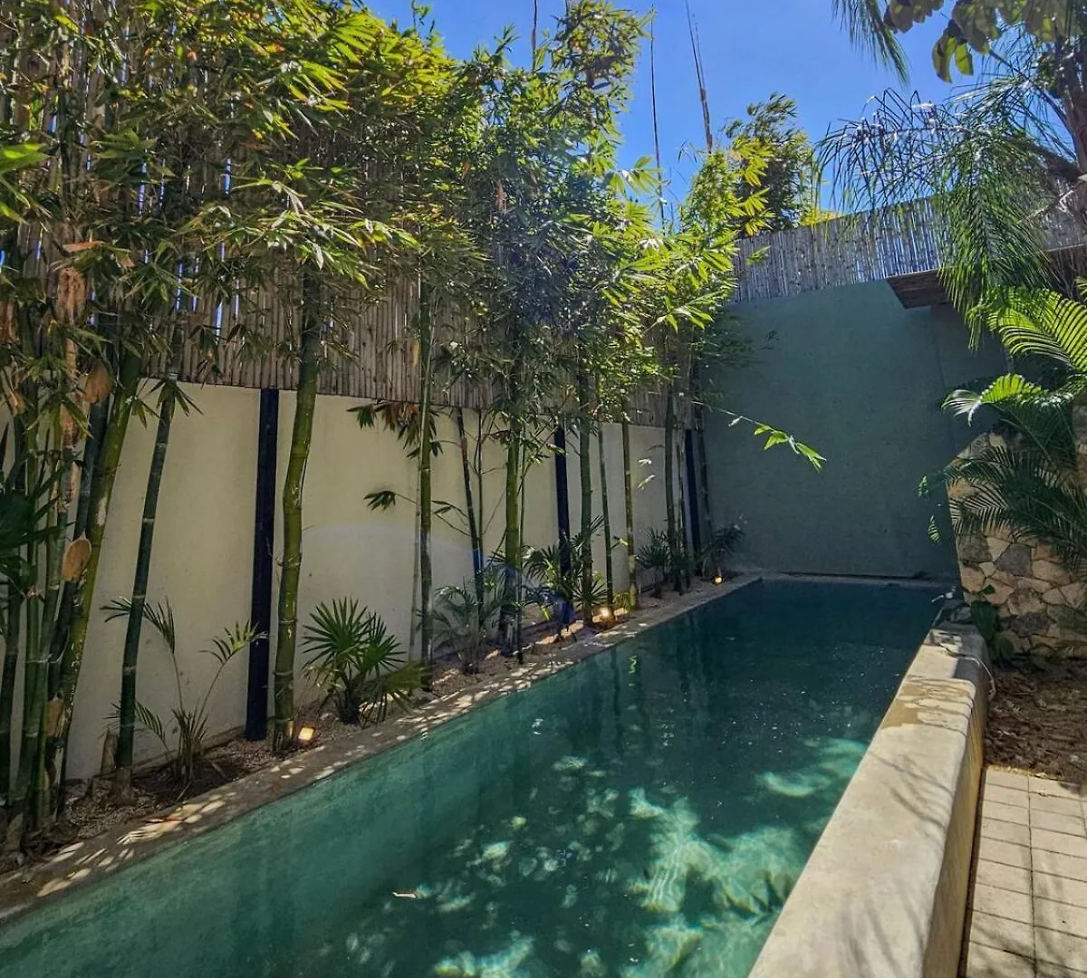 New Bamboo Casa Azul Pool Paddle Tennis And Soccer Mérida Lejlighed